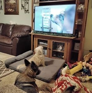 Meet your Posher, Sally